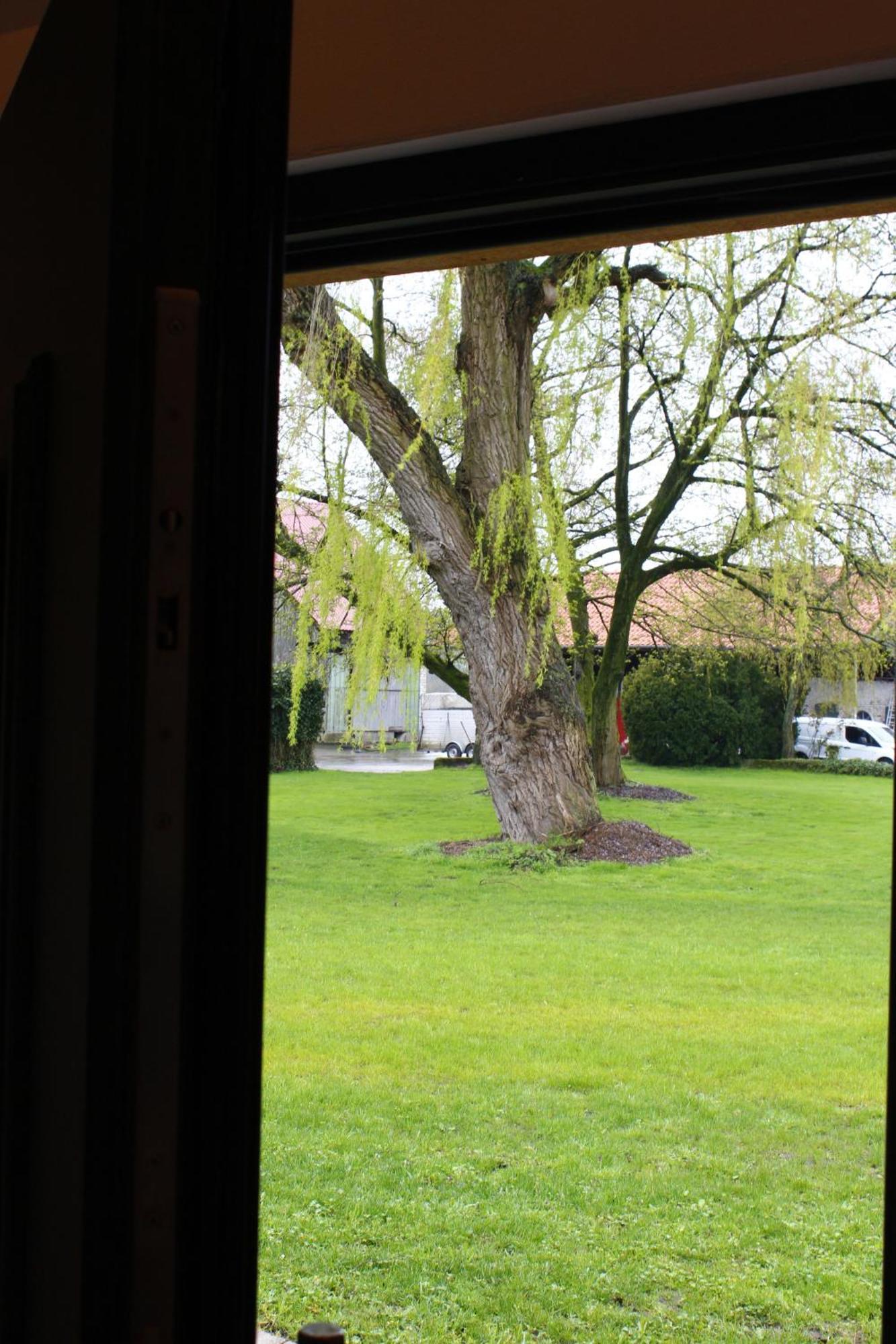 Apartmán Weitblick - Ruhepol In Muensterlaender Parklandschaft Dülmen Exteriér fotografie
